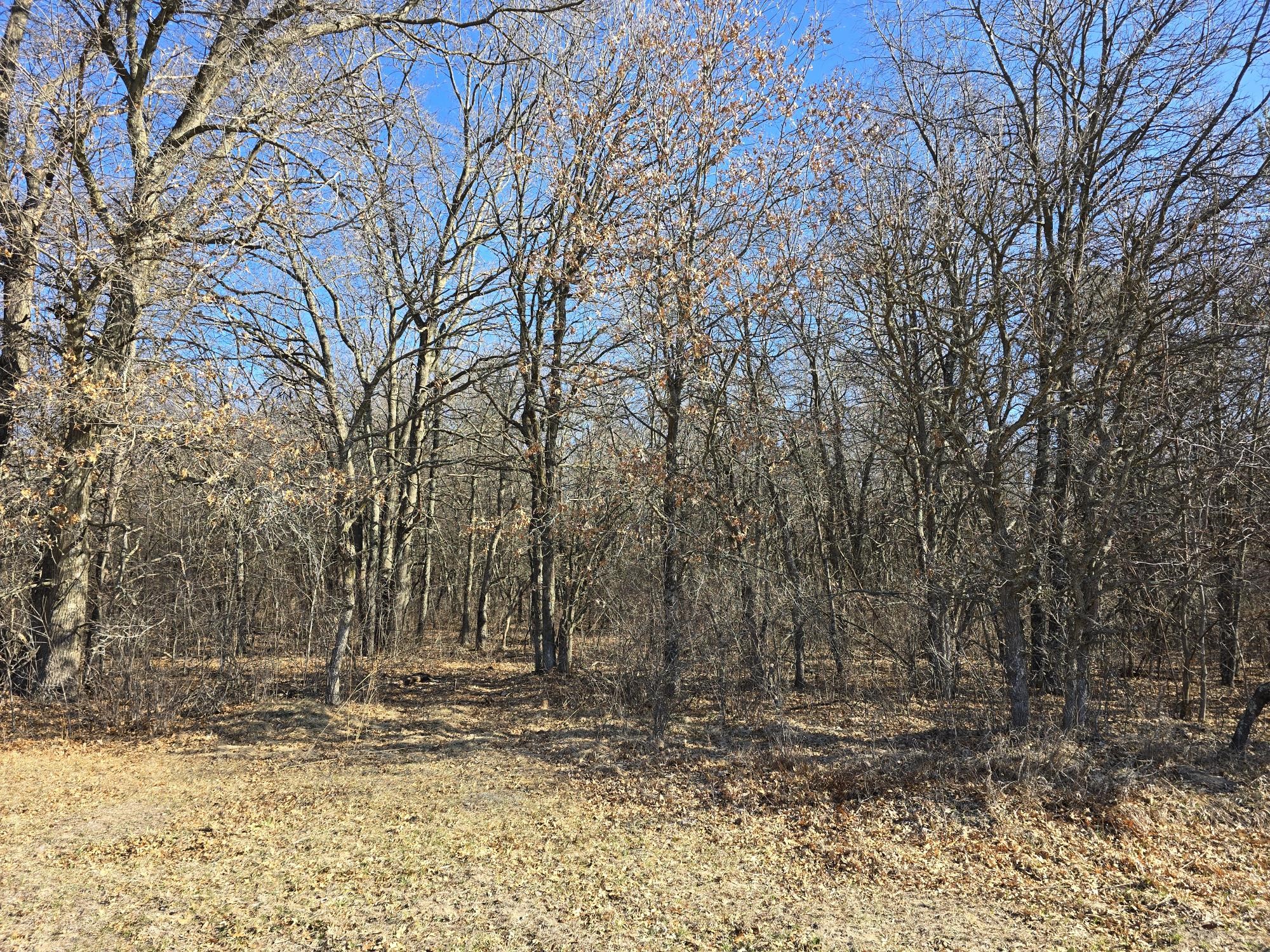 Lot 2 Buck Rub Road