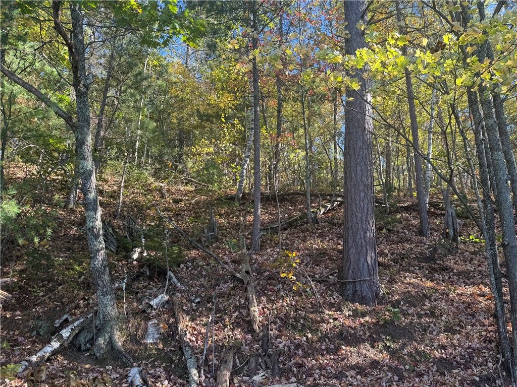 Photo of Lot 22 &amp; 23 E Long Lake, Iron River, WI 54847 (MLS # 1597640)