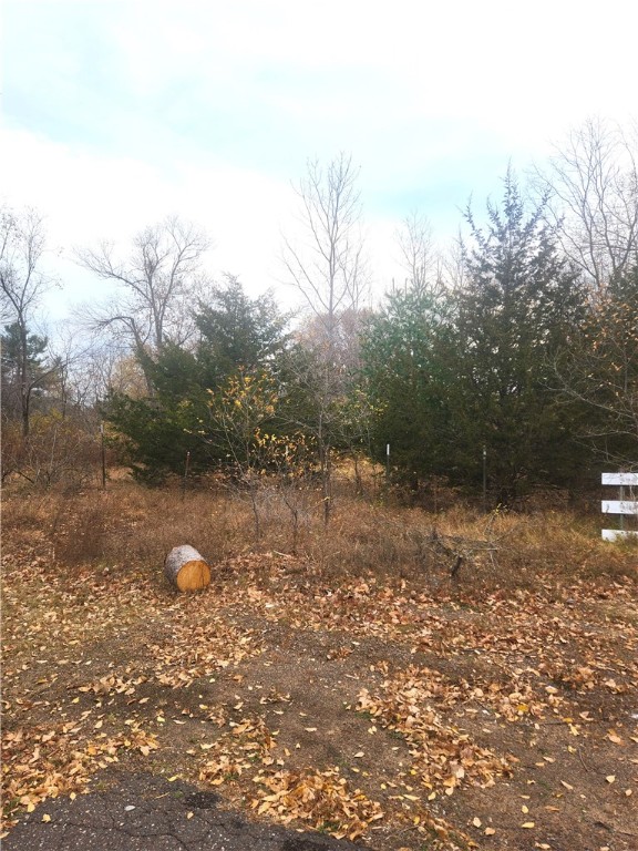 Photo 1 of 3 — Lot 1 W Leonard Street, Chetek, WI 54728