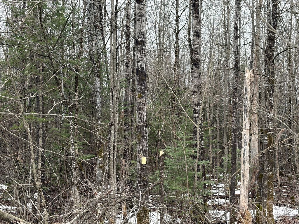 Photo of ON N Hofer Road, Couderay, WI 54828 (MLS # 1599291)
