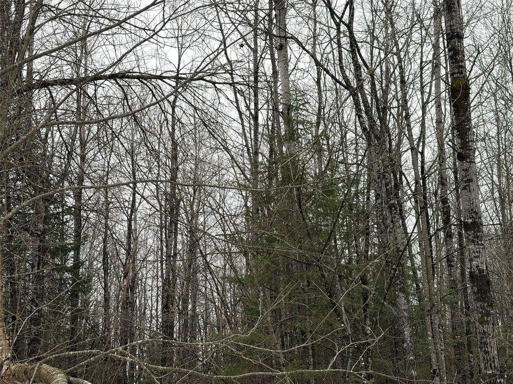 Photo of ON N Hofer Road, Couderay, WI 54828 (MLS # 1599291)