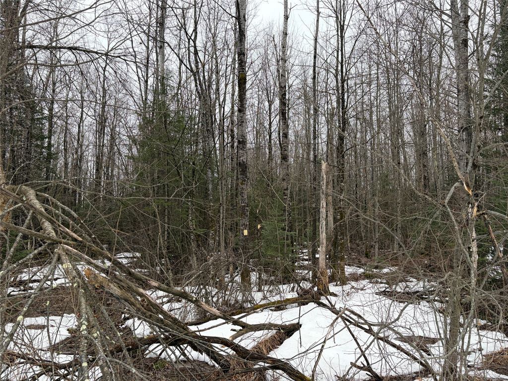 Photo of ON N Hofer Road, Couderay, WI 54828 (MLS # 1599291)
