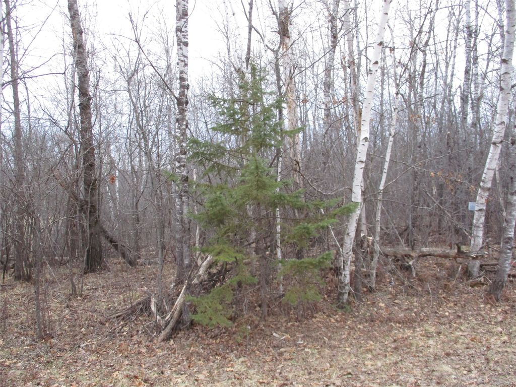 Photo of Lot #24 28 11/16 Street, Birchwood, WI 54817 (MLS # 1599869)