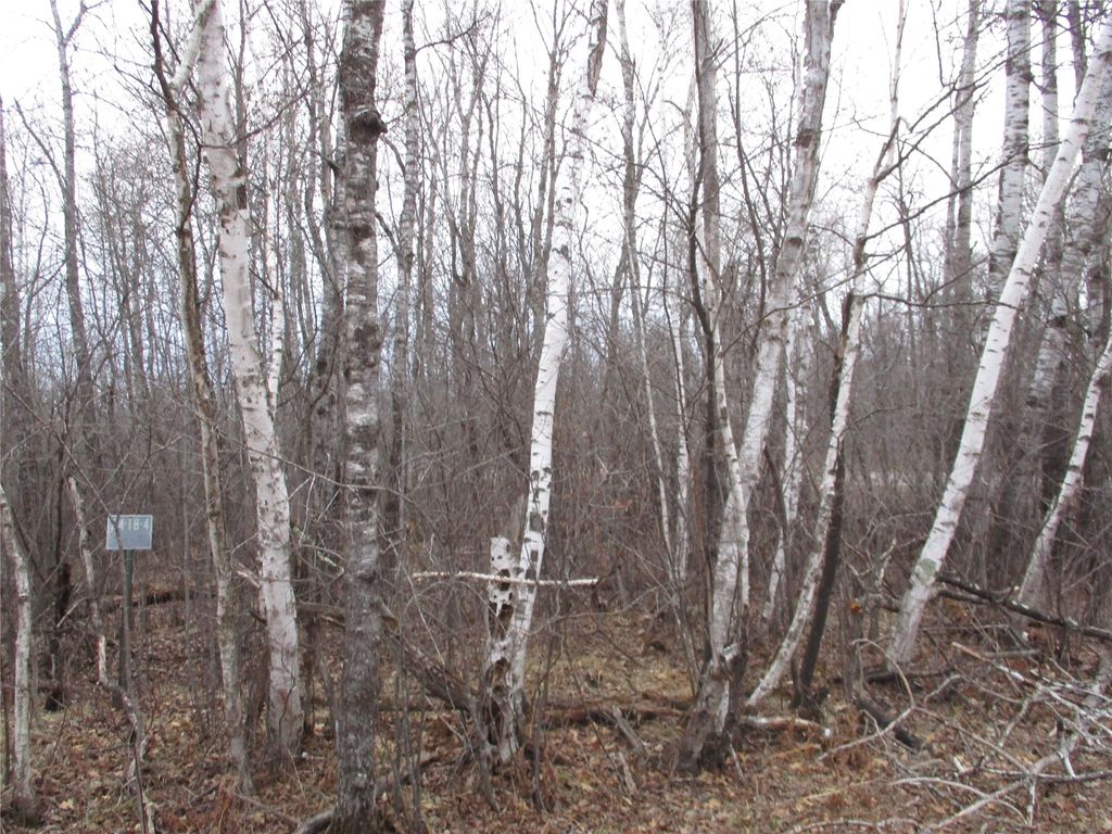Photo of Lot #24 28 11/16 Street, Birchwood, WI 54817 (MLS # 1599869)