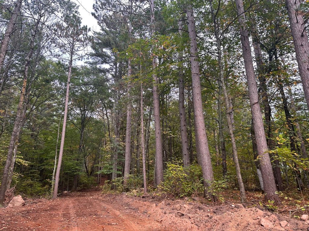 Photo of 0 N Sabin Road, Hayward, WI 54843 (MLS # 1599776)