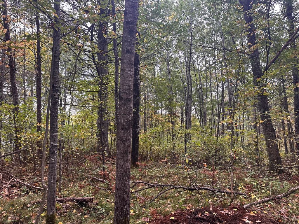 Photo of 0 N Sabin Road, Hayward, WI 54843 (MLS # 1599776)