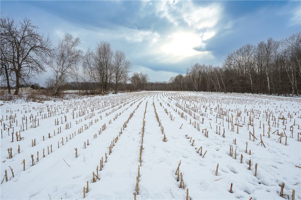 Photo of 0000 290th St, Cadott, WI 54727 (MLS # 1597903)