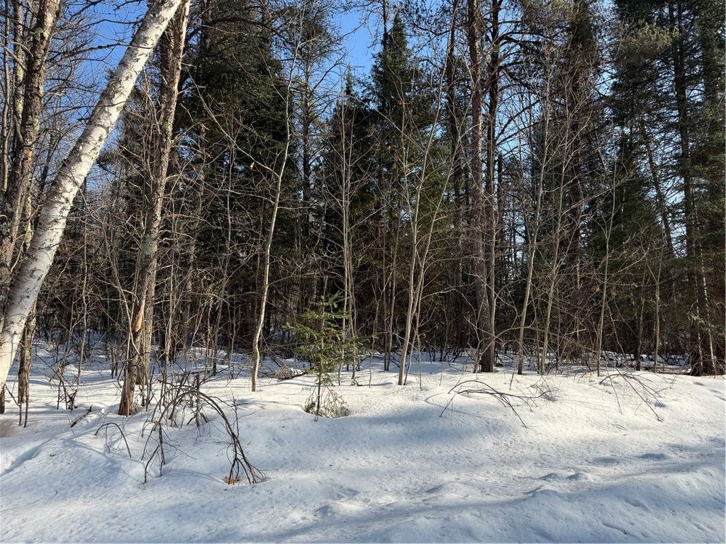 Photo of Lot 66 Hickory Court, Cable, WI 54821 (MLS # 1598857)