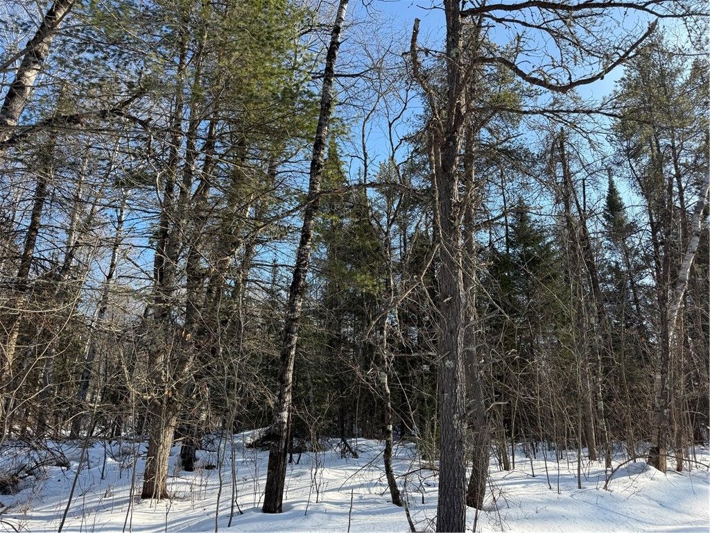 Photo of Lot 66 Hickory Court, Cable, WI 54821 (MLS # 1598857)