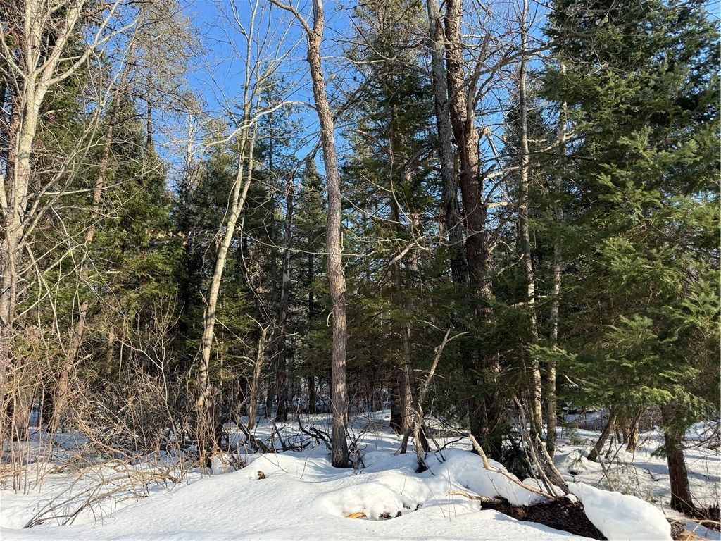 Photo of Lot 66 Hickory Court, Cable, WI 54821 (MLS # 1598857)