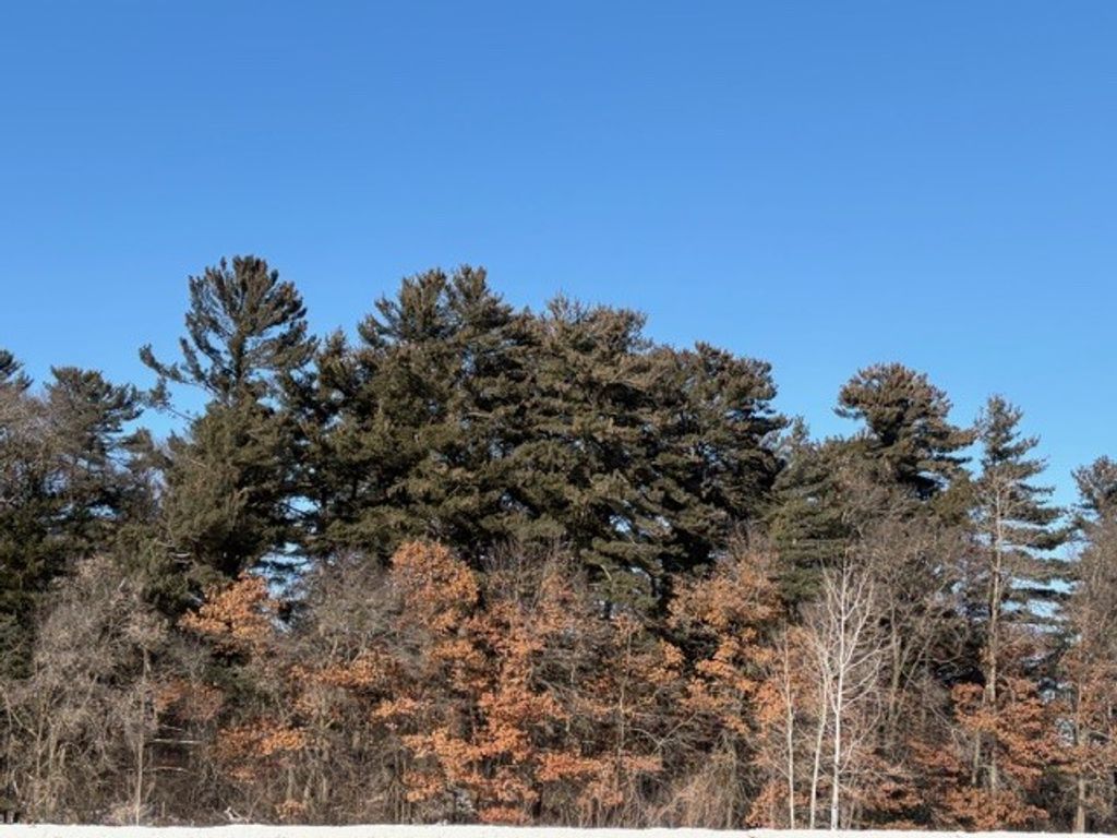 Photo of 0 Hwy 13, Cornucopia, WI 54827 (MLS # 1598003)