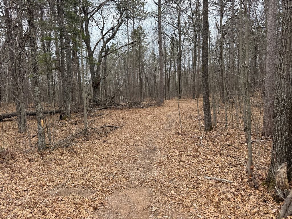 Photo of 27846 290th Avenue, Holcombe, WI 54745 (MLS # 1599939)