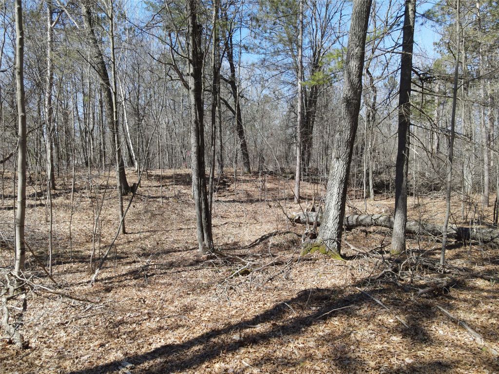 Photo of 27846 290th Avenue, Holcombe, WI 54745 (MLS # 1599939)