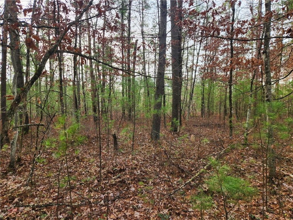 Photo of N10321 County Road K, Merrillan, WI 54754 (MLS # 1596962)