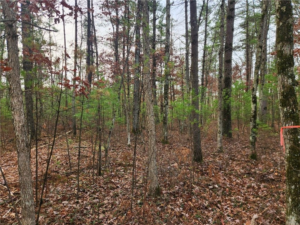 Photo of N10321 County Road K, Merrillan, WI 54754 (MLS # 1596962)