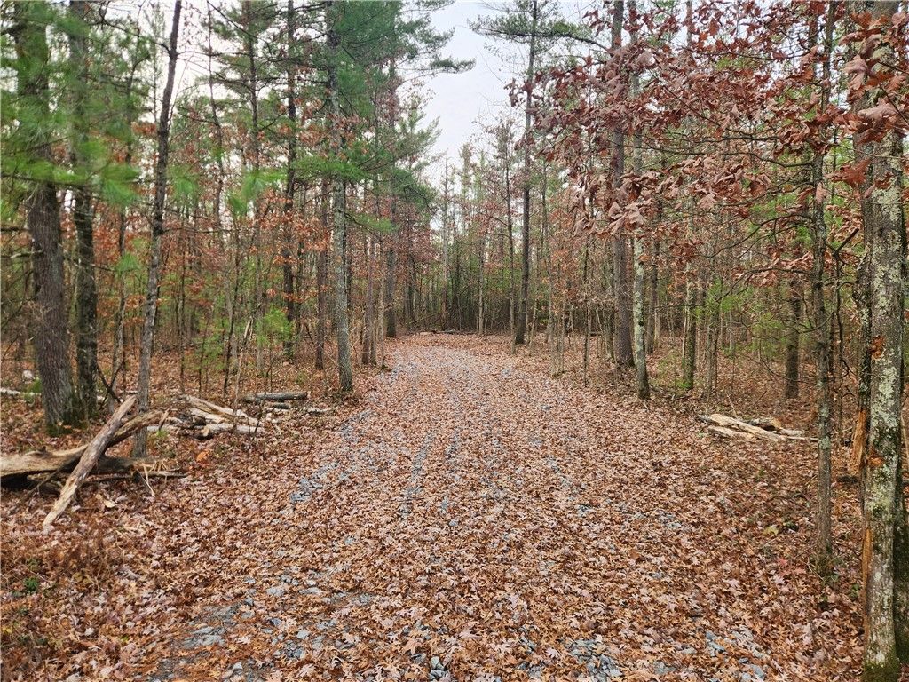 Photo of N10321 County Road K, Merrillan, WI 54754 (MLS # 1596962)