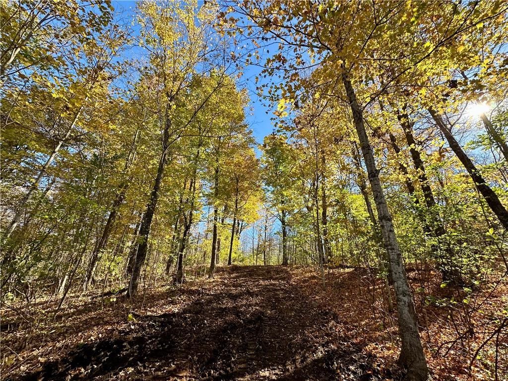 Photo of 13457W Lakeview LN., Exeland, WI 54835 (MLS # 1596623)