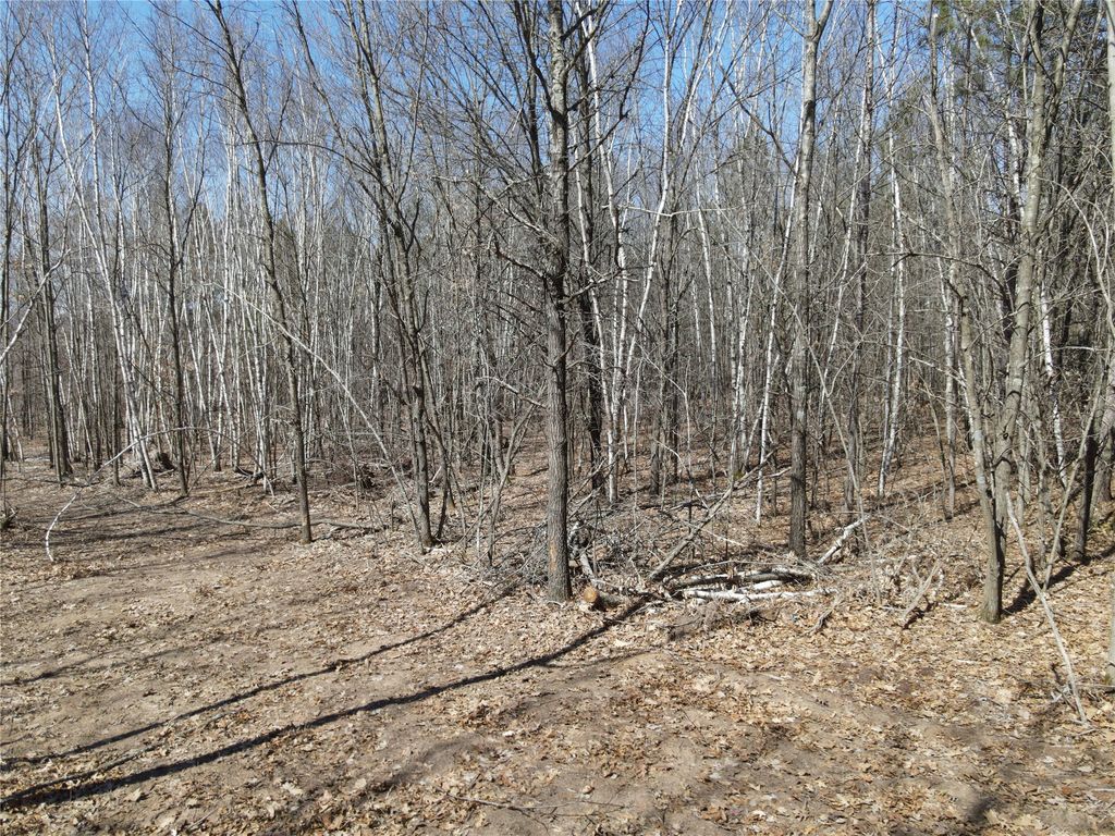 Photo of 0 810th Street, Ridgeland, WI 54763 (MLS # 1599987)