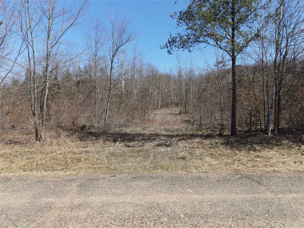 Photo of 0 810th Street, Ridgeland, WI 54763 (MLS # 1599987)