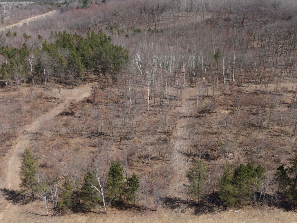 Photo of 0 810th Street, Ridgeland, WI 54763 (MLS # 1599987)
