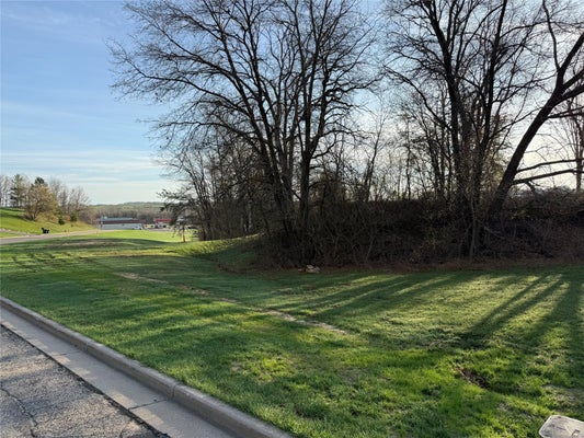 KIMBALL AVE, ELROY, WI 53929 - Image 73bb1cfc39f6afa939c1fcbcb724c2e0/3582725593