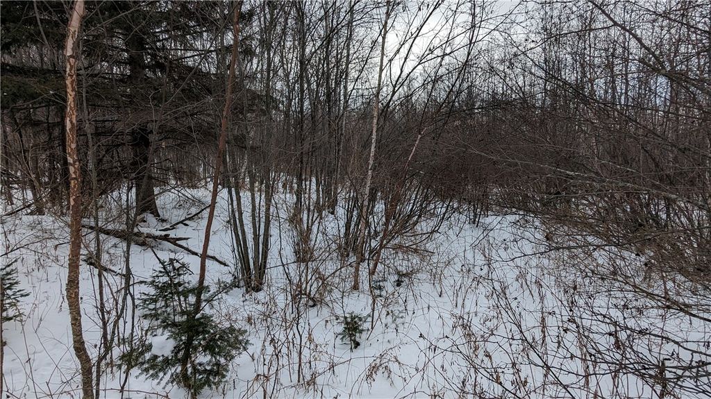 Photo of Lot 0 N County Highway W, Winter, WI 54896 (MLS # 1588452)