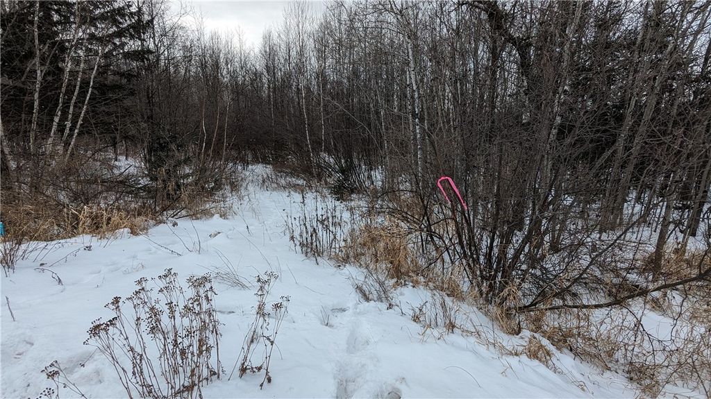 Photo of Lot 0 N County Highway W, Winter, WI 54896 (MLS # 1588452)