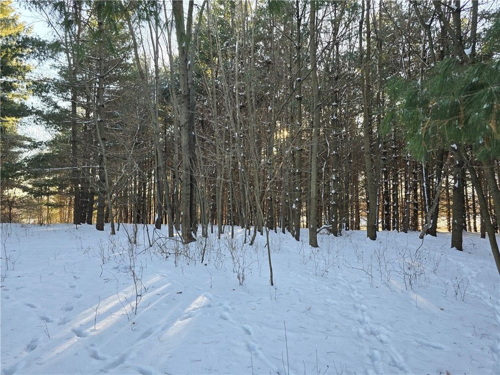 Photo of 00 4 1/2 Avenue, Chetek, WI 54728 (MLS # 1597541)