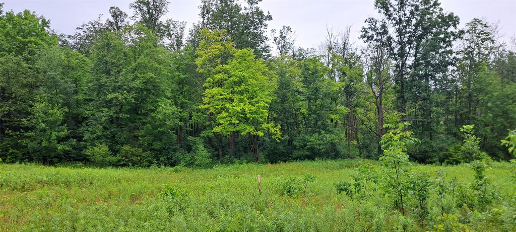 Photo of Lot 4 Musky Point Drive, Stone Lake, WI 54876 (MLS # 1599768)