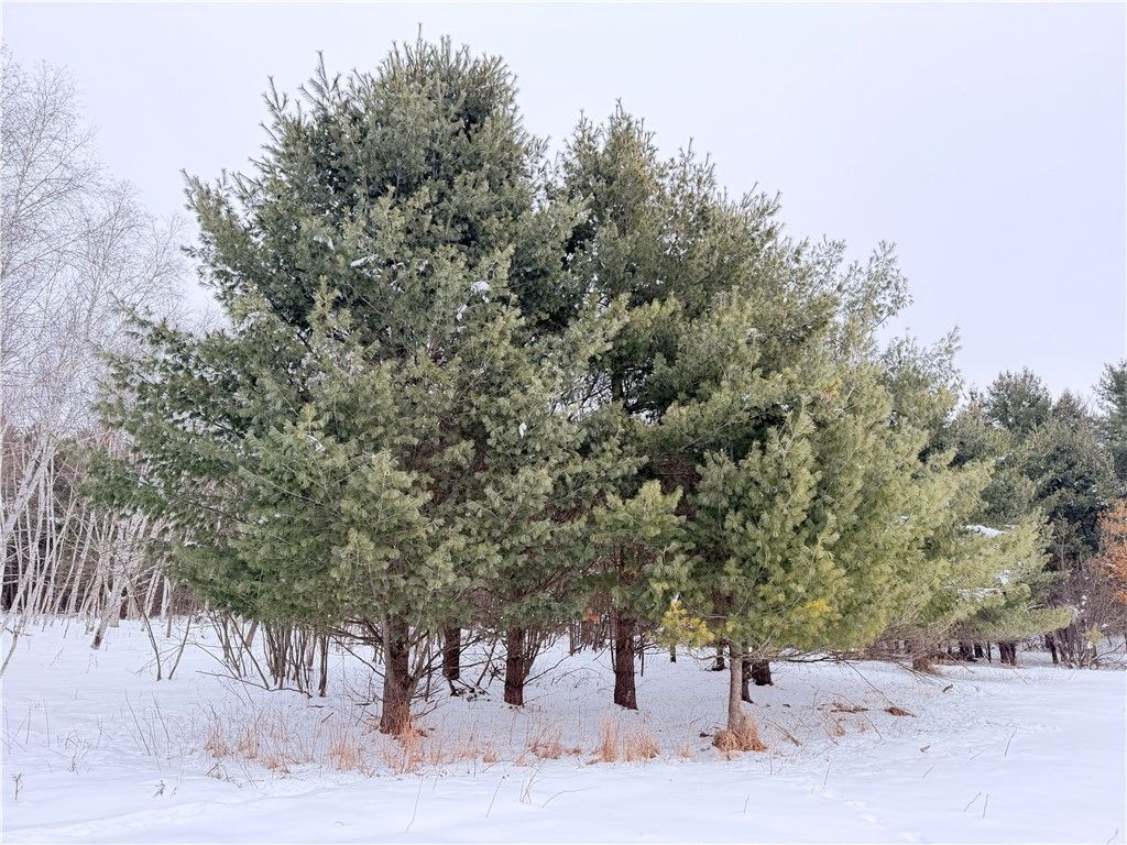 Photo of 0 30th Avenue, Rice Lake, WI 54868 (MLS # 1597828)