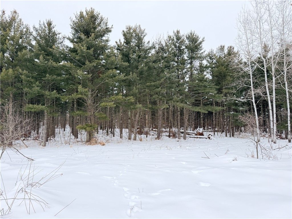 Photo of 0 30th Avenue, Rice Lake, WI 54868 (MLS # 1597828)
