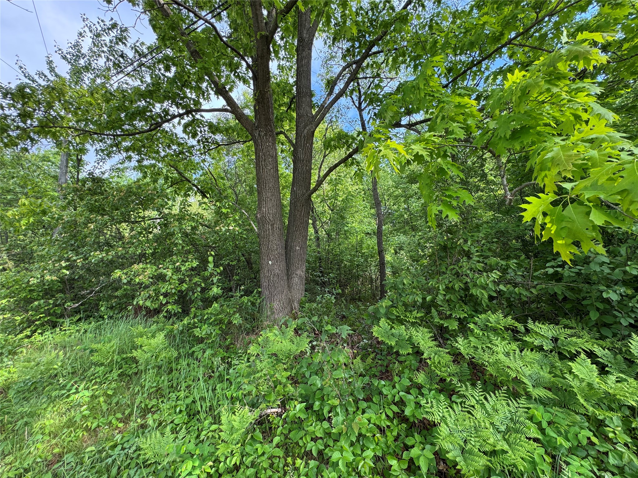 000 Boundary Road