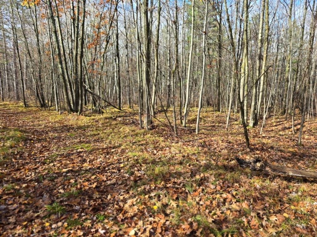 Photo of Lot 41 Fat Tire Lane, Hayward, WI 54843 (MLS # 1596854)