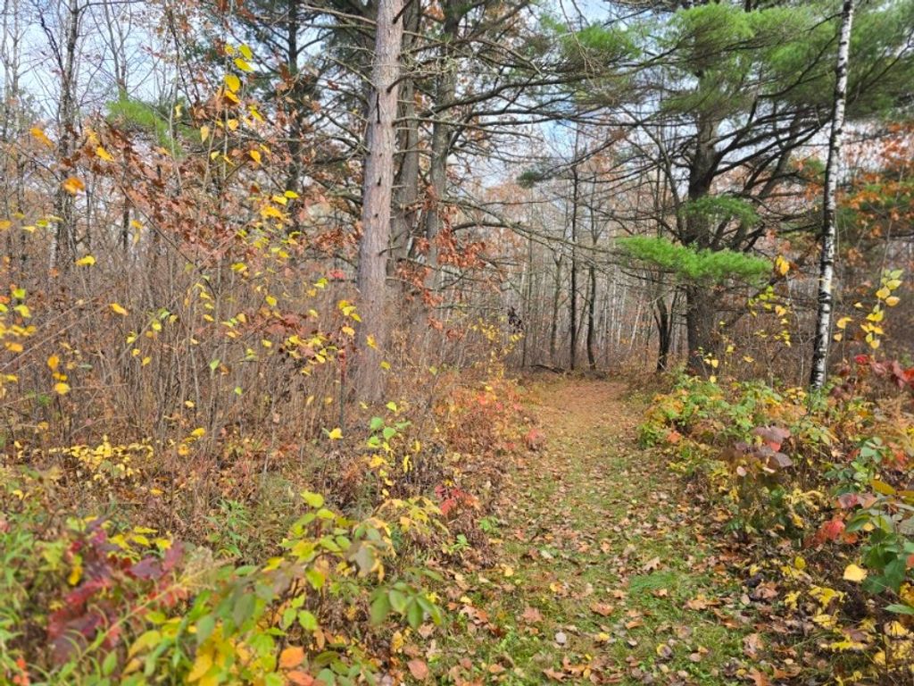 Photo of Lot 41 Fat Tire Lane, Hayward, WI 54843 (MLS # 1596854)