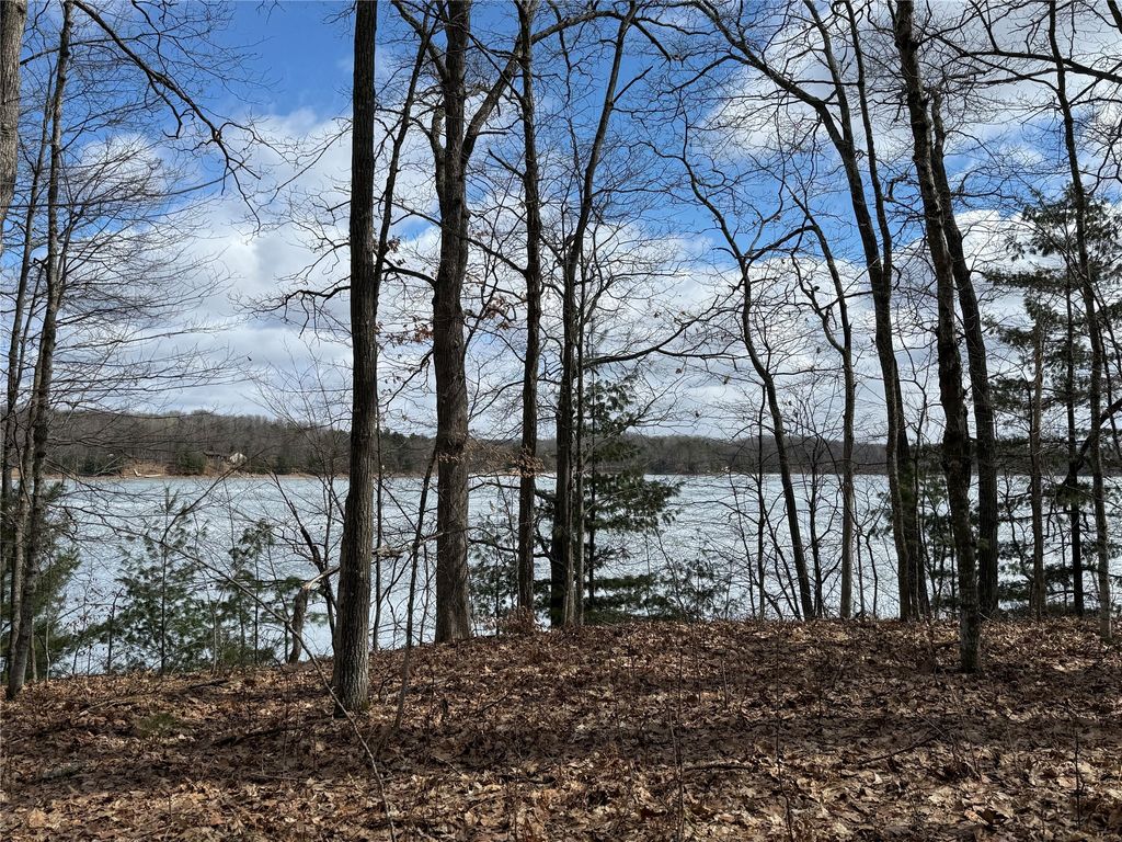 Photo of XXX Ripley Spur Road, Sarona, WI 54870 (MLS # 1599430)