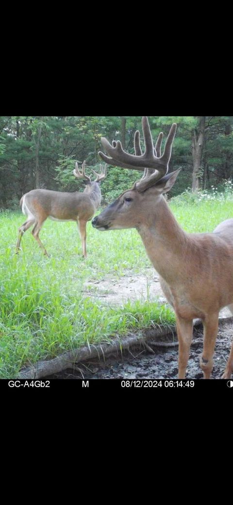 890 S Independence Road Independence WI 54747