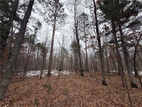 00000 Cty Rd H Danbury WI 54830