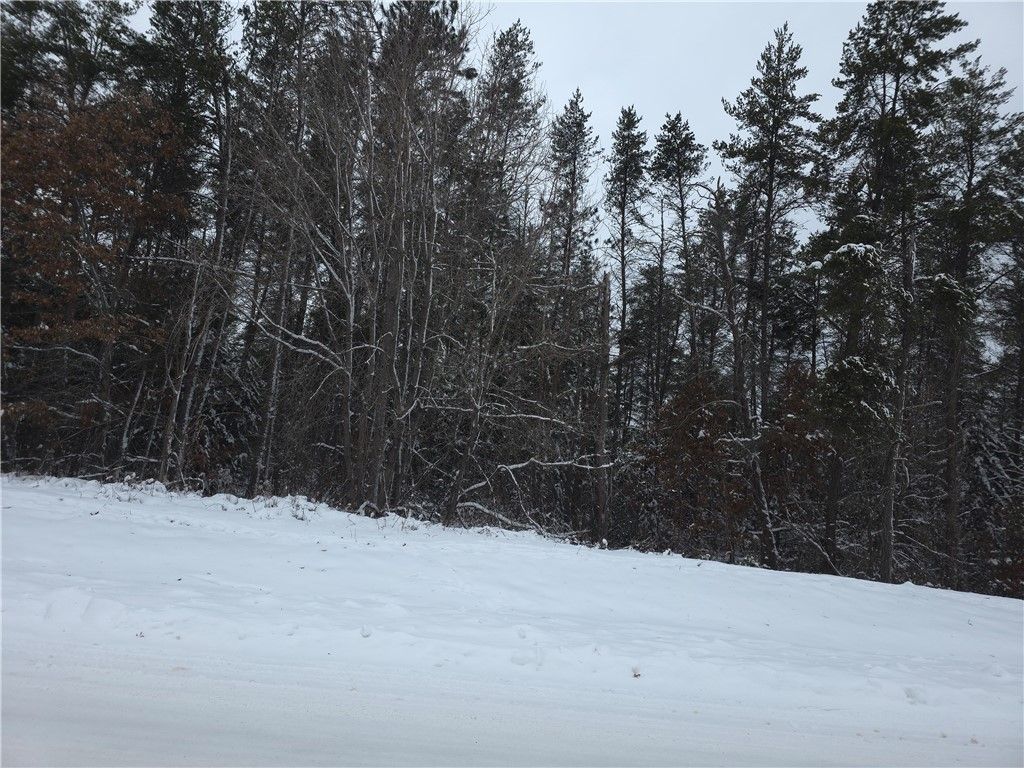Photo of 0 Liesch Rd, Trego, WI 54888 (MLS # 1597464)