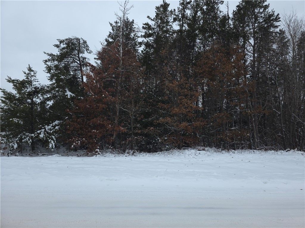 Photo of 0 Liesch Rd, Trego, WI 54888 (MLS # 1597464)