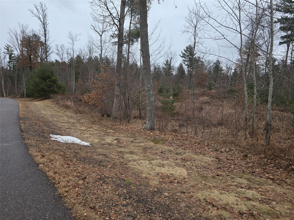 Photo of 00 23 1/2 Street, Cameron, WI 54822 (MLS # 1599079)