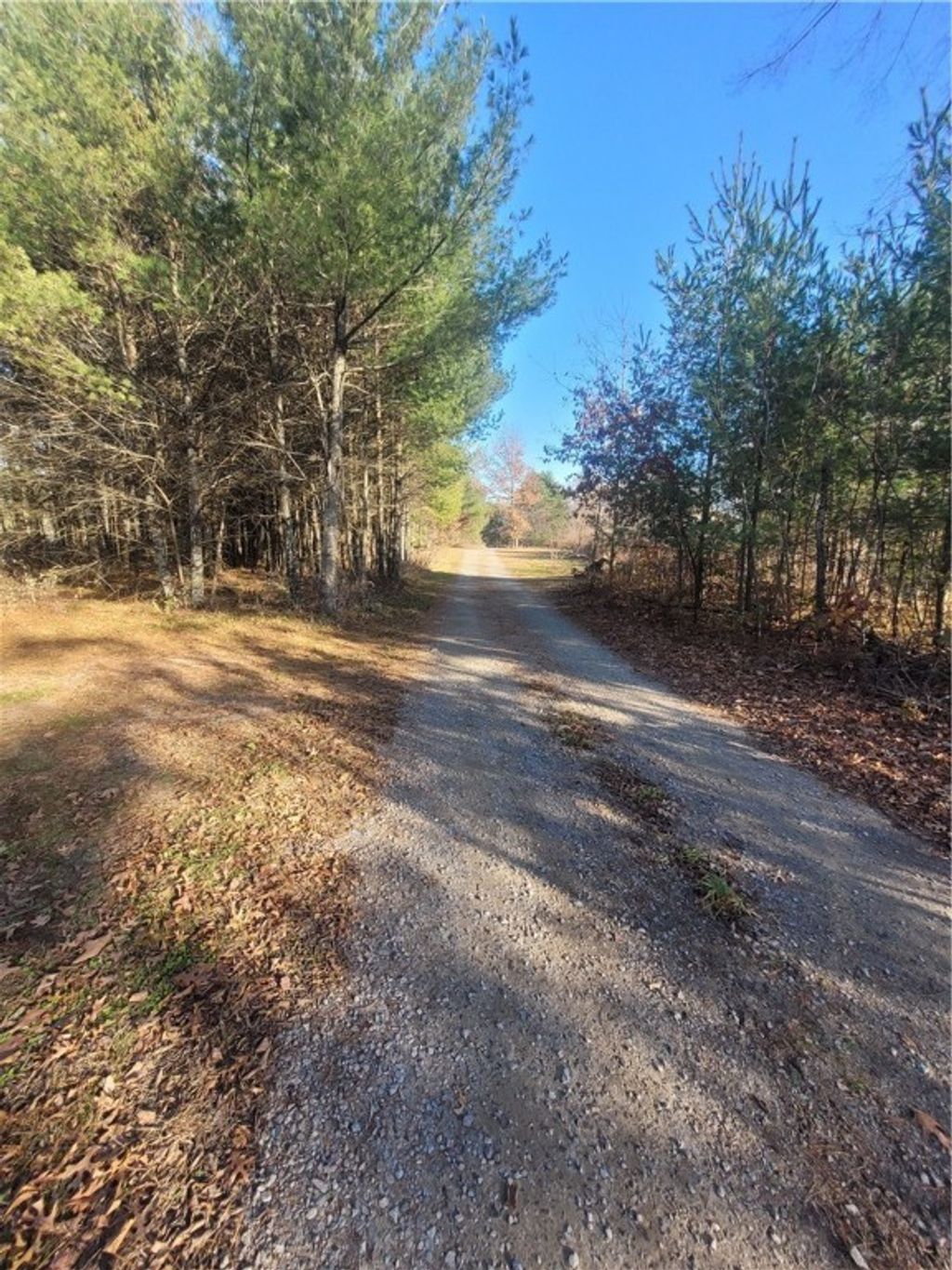 Photo of 0 Lower Lake Dr, Merrillan, WI 54754 (MLS # 1597203)