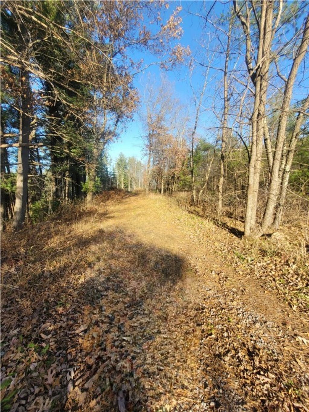 Photo of 0 Lower Lake Dr, Merrillan, WI 54754 (MLS # 1597203)