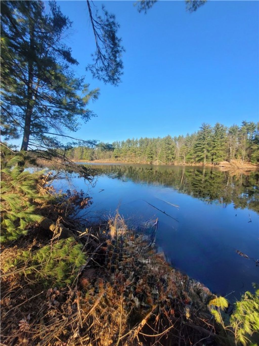 Photo of 0 Lower Lake Dr, Merrillan, WI 54754 (MLS # 1597203)