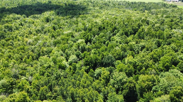 SNOWSHOE RD, WAUSAU, WI 54403 - Image 83433dfee67a07df5b4ffb7f7cb67285/3403263308