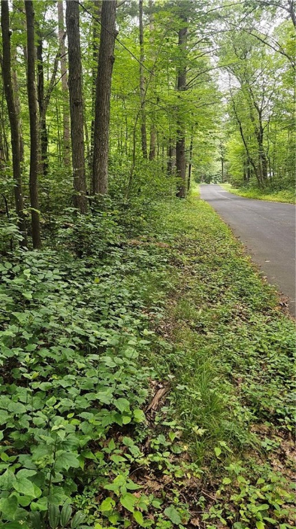 Photo of Lots 17, 18, 36-40 BLK 13 Dixon Ave, Hayward, WI 54843 (MLS # 1594813)