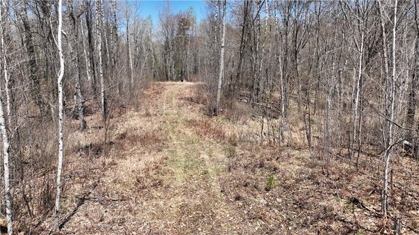 XX E BEAUREGARD LAKE ROAD, SOLON SPRINGS, WI 54873 - Image 8a4777d6e5ec08078d4d7ceb813a2c79/376173478