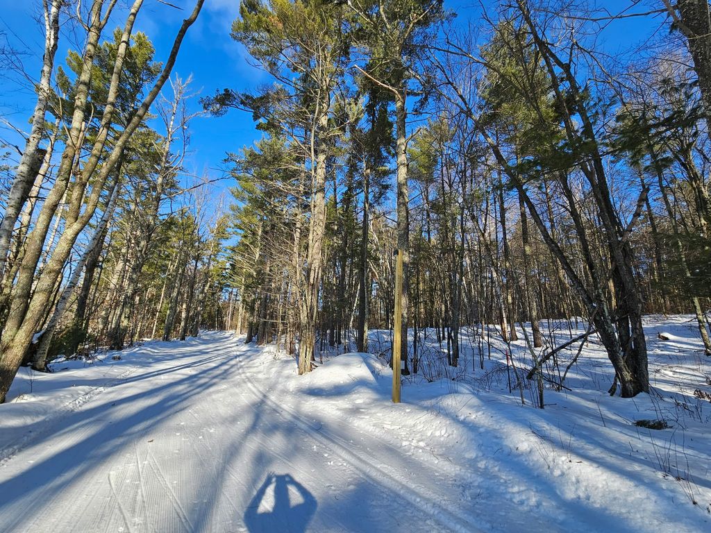 Photo of 11349N Vasa Road, Hayward, WI 54843 (MLS # 1599816)