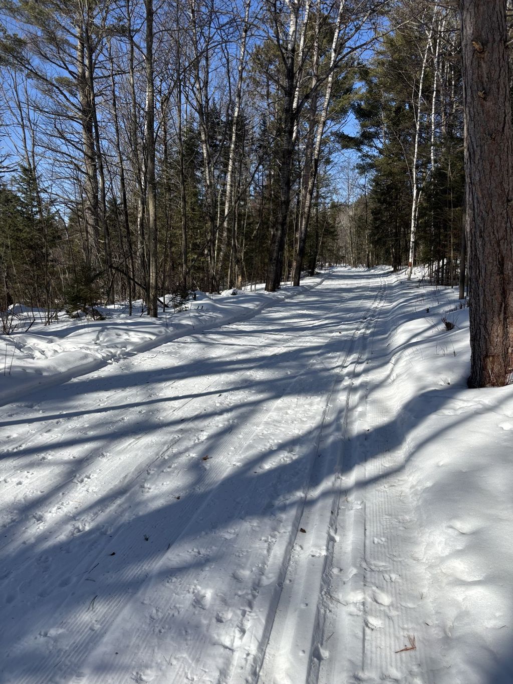 Photo of 11349N Vasa Road, Hayward, WI 54843 (MLS # 1599816)