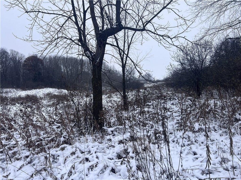 Photo of TBD Cty Line Avenue, Clear Lake, WI 54005 (MLS # 1597459)