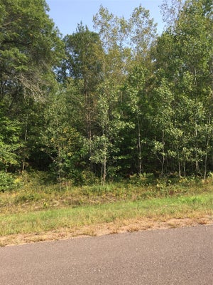 SHADY LN, SIREN, WI 54872 - Image 8ca94a54cb77bece4d497e973124fcf1/2282607063
